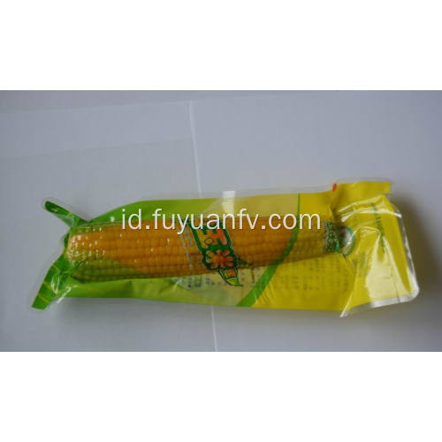 jagung manis utuh segar